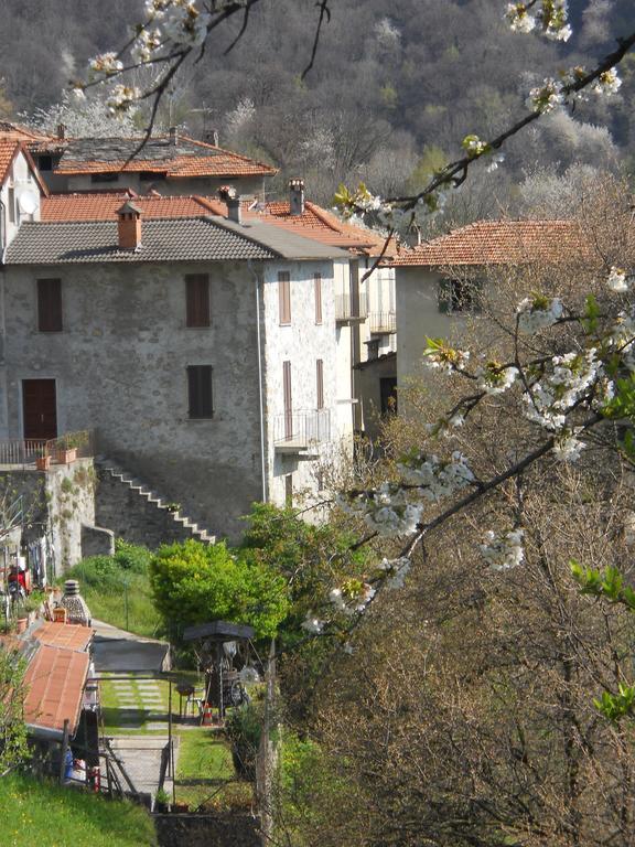 Casa Ginevra Appartement Plesio Buitenkant foto